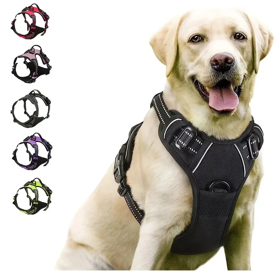 Dog Harness Vest & Leash Set – 8 Colors, All Sizes (S/M/L/XL)