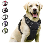 Dog Harness Vest & Leash Set – 8 Colors, All Sizes (S/M/L/XL)