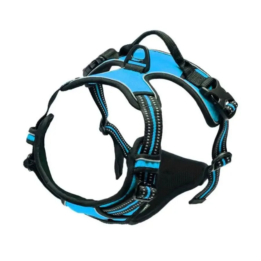 Dog Harness Vest & Leash Set – 8 Colors, All Sizes (S/M/L/XL)