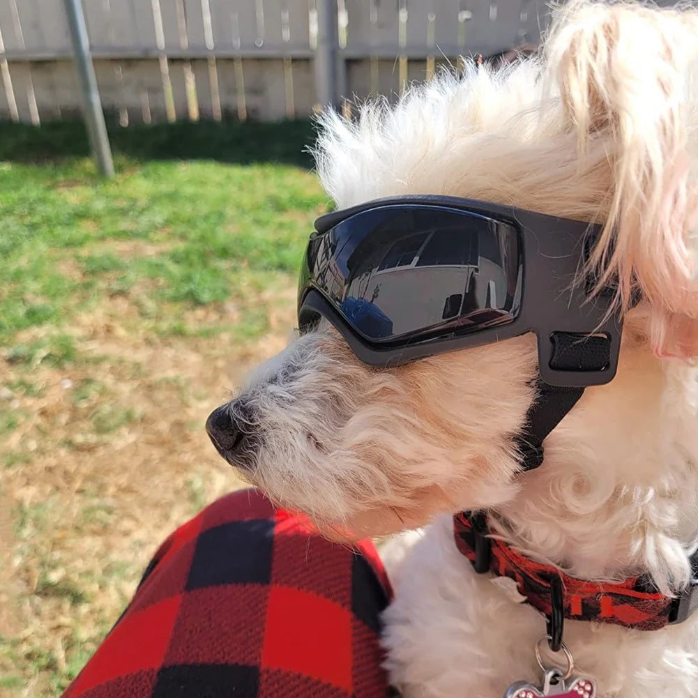 Dog Sunglasses – UV Protection Goggles for Small & Medium Dogs (S/M)