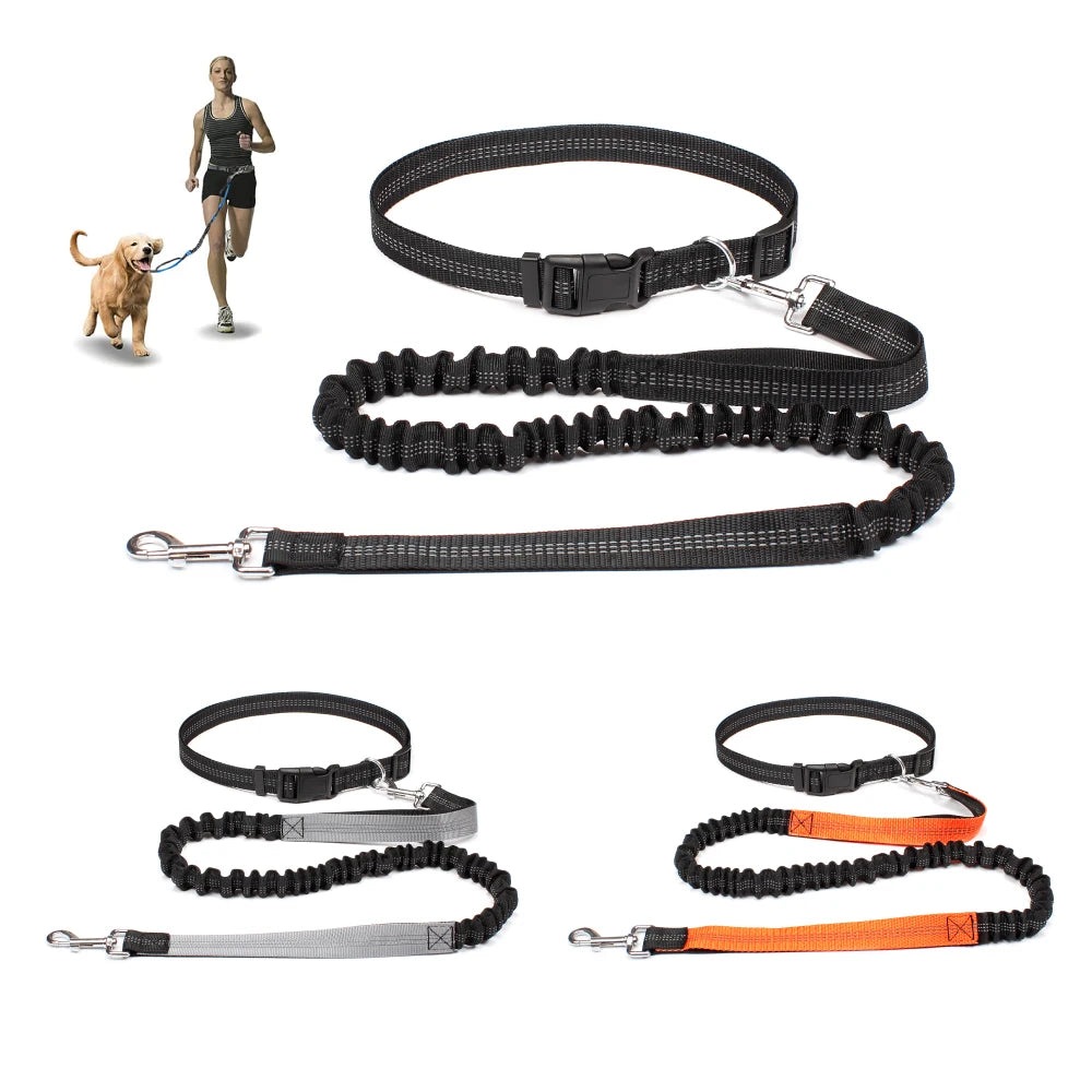 Hands-Free Dog Leash – Adjustable Running & Walking Waist Belt