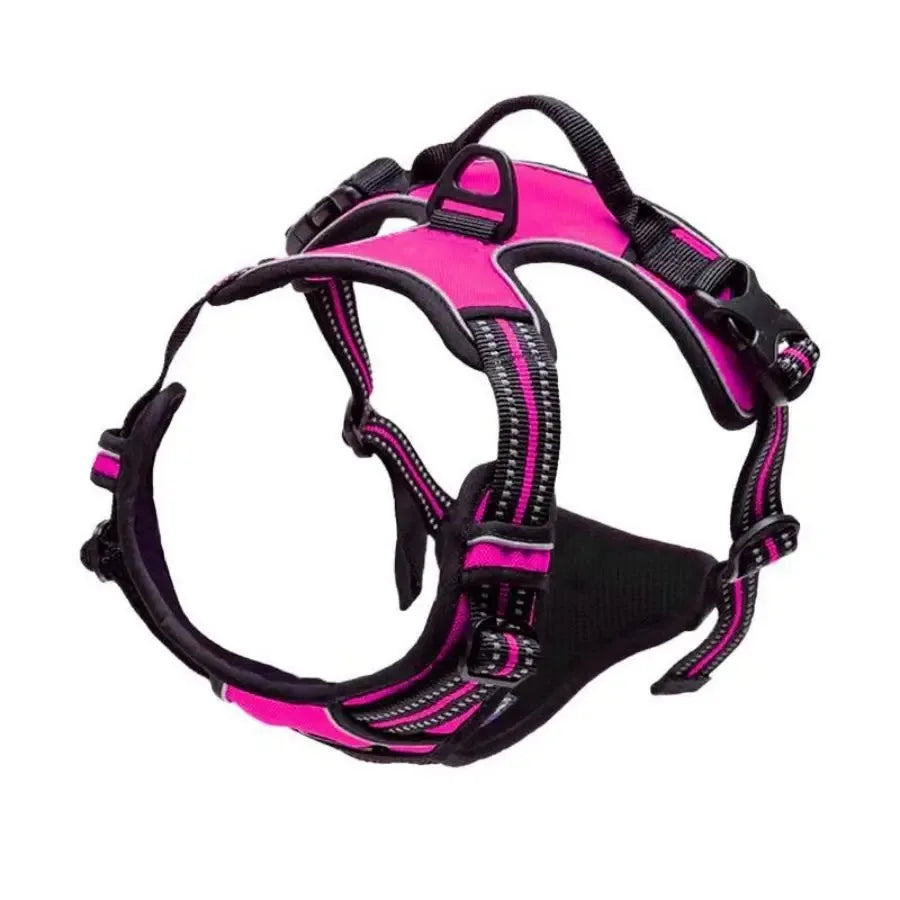 Dog Harness Vest & Leash Set – 8 Colors, All Sizes (S/M/L/XL)