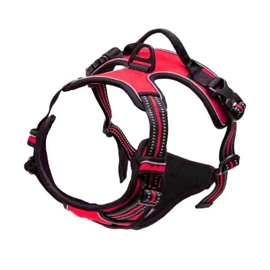 Dog Harness Vest & Leash Set – 8 Colors, All Sizes (S/M/L/XL)