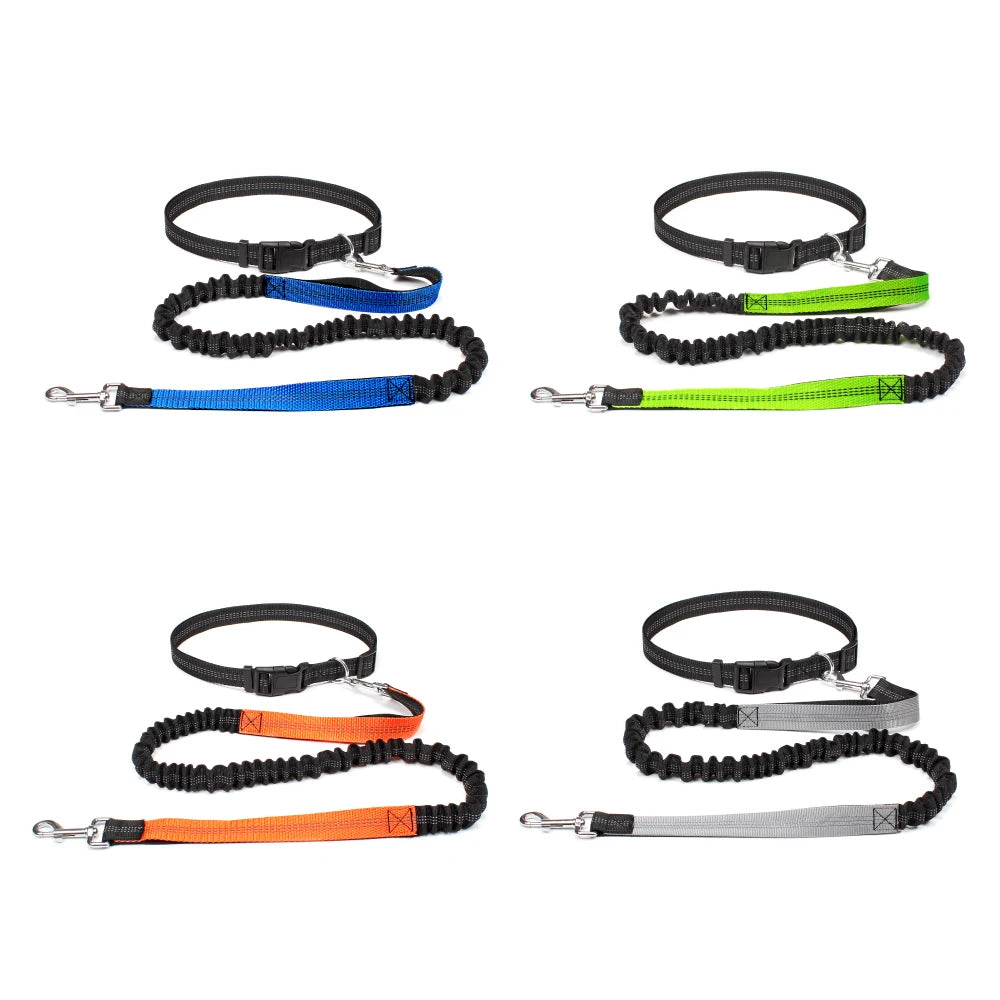 Hands-Free Dog Leash – Adjustable Running & Walking Waist Belt