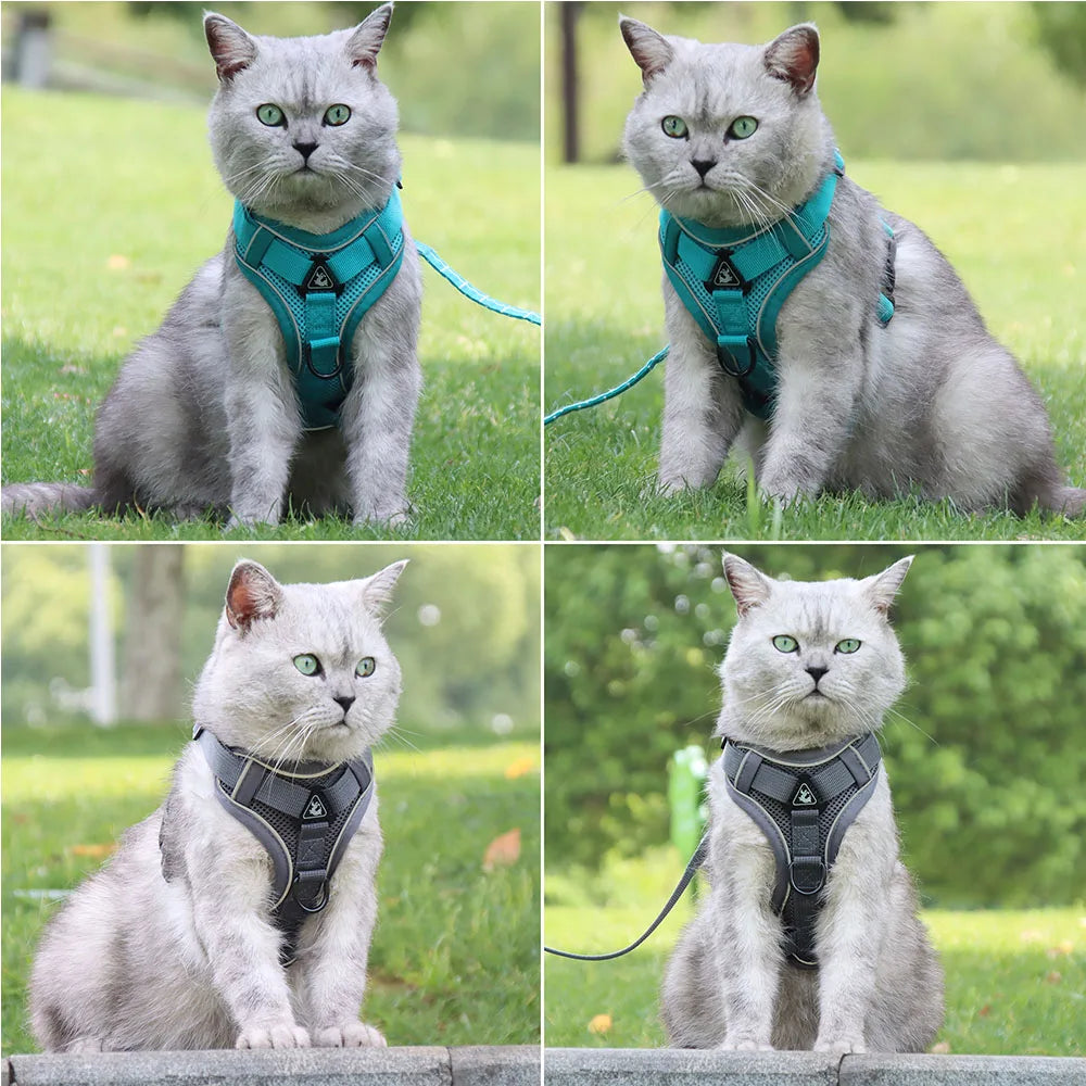 Dog Harness & Leash Set – Vest Style for Small Dogs (S/M/L/XL)