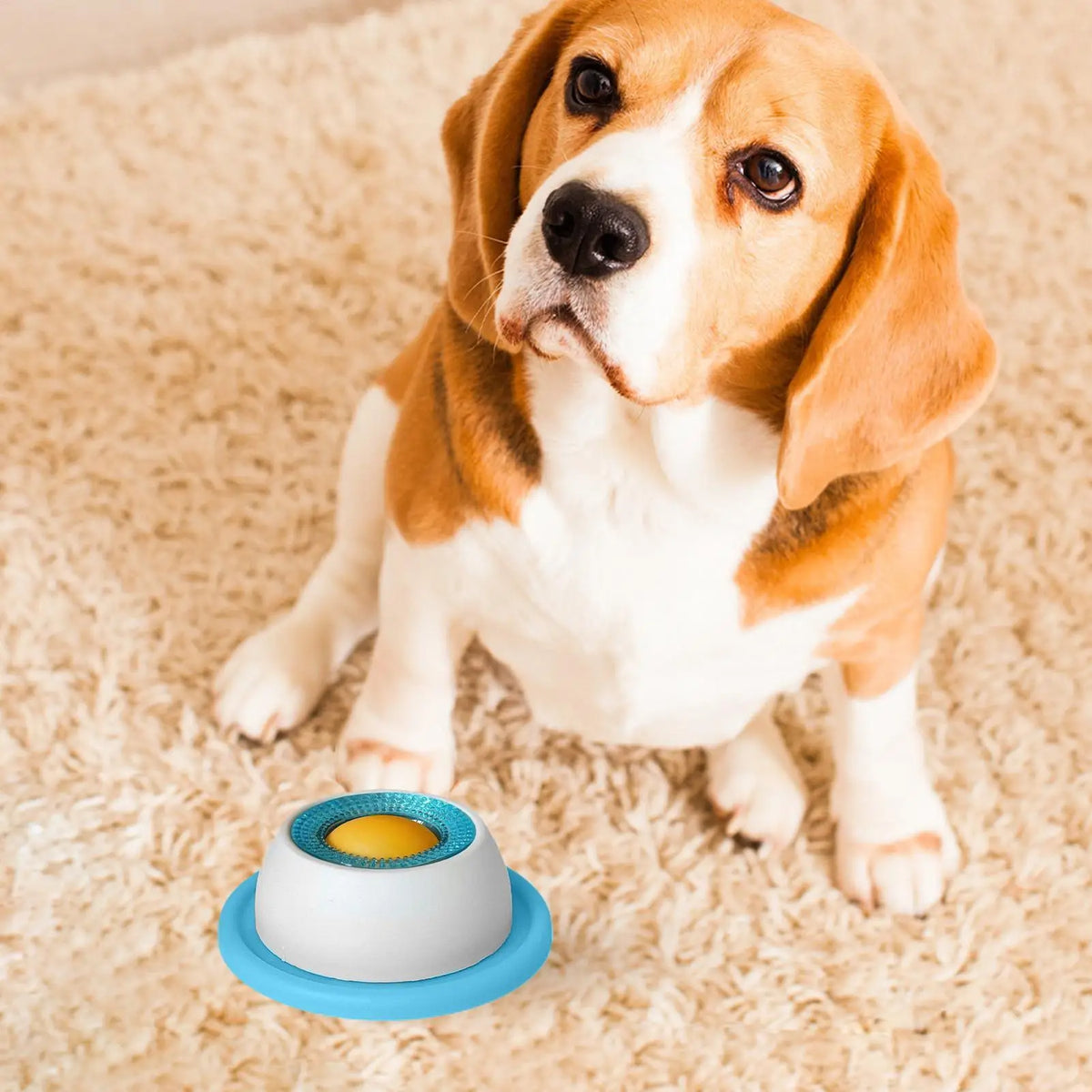 Dog Slow Feeder Puzzle Toy – Interactive Licking Bowl for Dogs & Cats