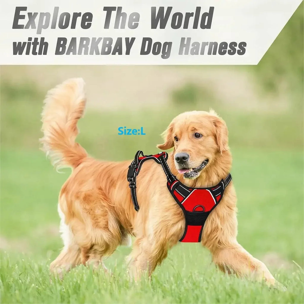Dog Harness Vest & Leash Set – 8 Colors, All Sizes (S/M/L/XL)