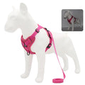 Dog Harness & Leash Set – Vest Style for Small Dogs (S/M/L/XL)