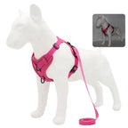 Dog Harness & Leash Set – Vest Style for Small Dogs (S/M/L/XL)
