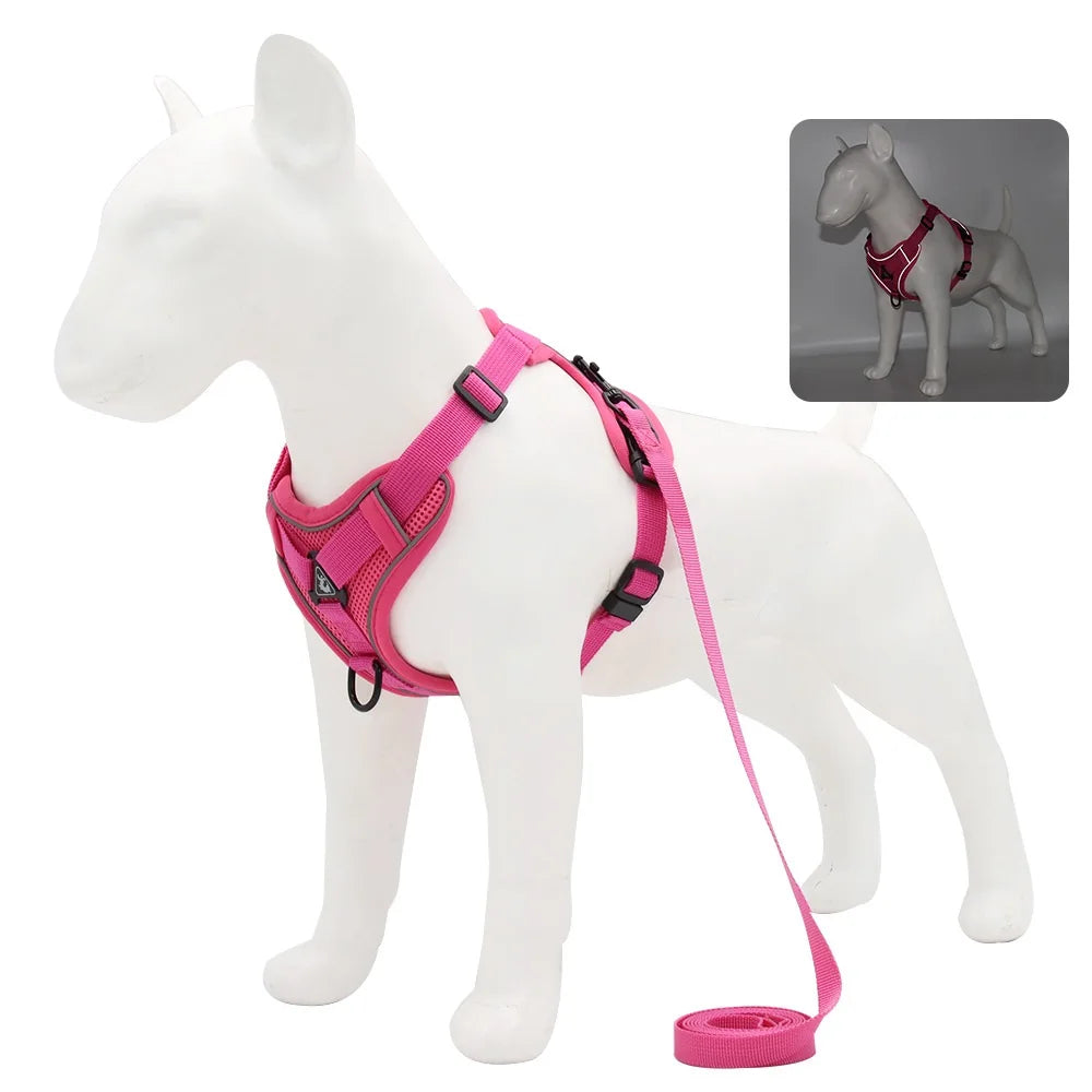 Dog Harness & Leash Set – Vest Style for Small Dogs (S/M/L/XL)