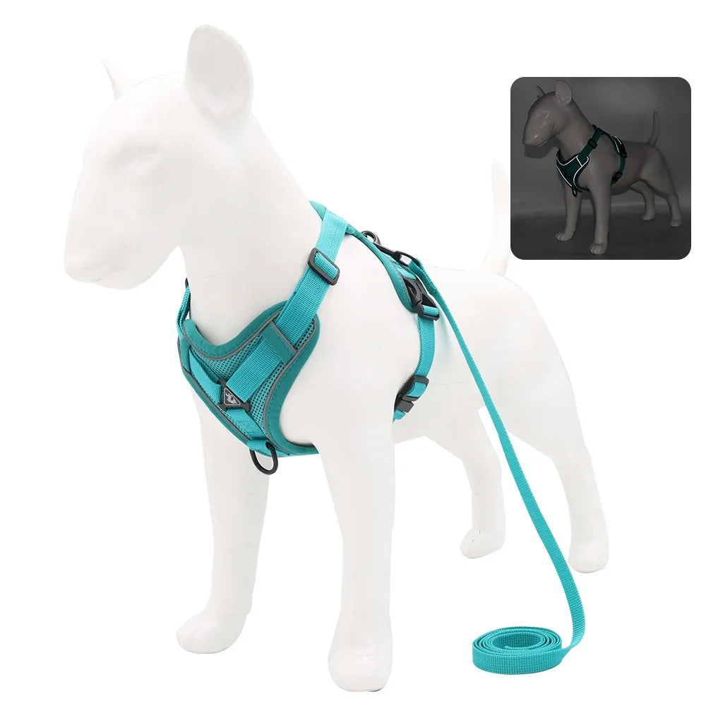 Dog Harness & Leash Set – Vest Style for Small Dogs (S/M/L/XL)