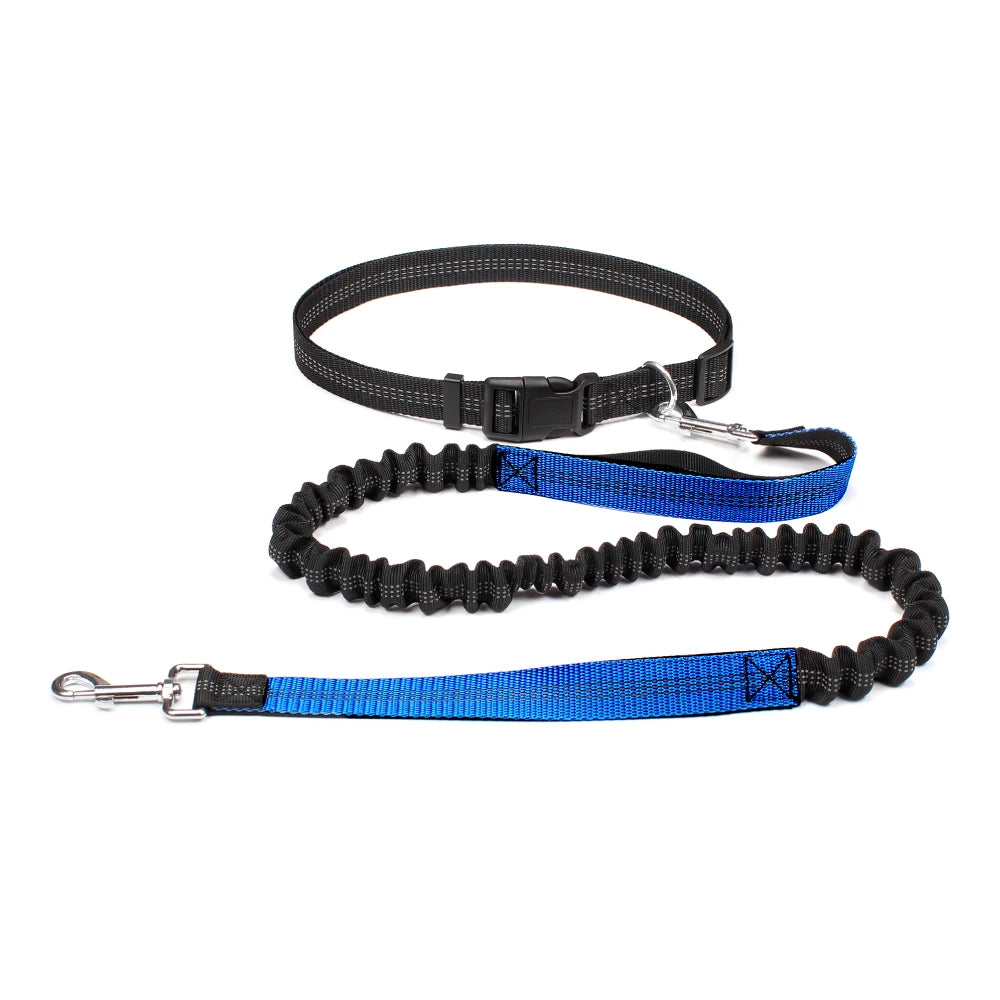 Hands-Free Dog Leash – Adjustable Running & Walking Waist Belt