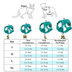 Dog Harness & Leash Set – Vest Style for Small Dogs (S/M/L/XL)