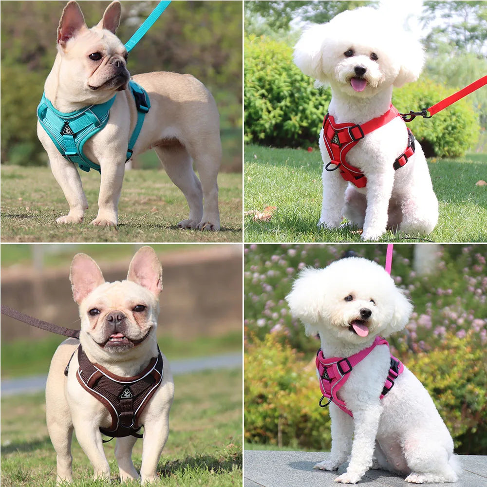 Dog Harness & Leash Set – Vest Style for Small Dogs (S/M/L/XL)