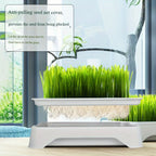 Cat Grass Hydroponic Planter — Soilless Wheatgrass Kit for Indoor Cats