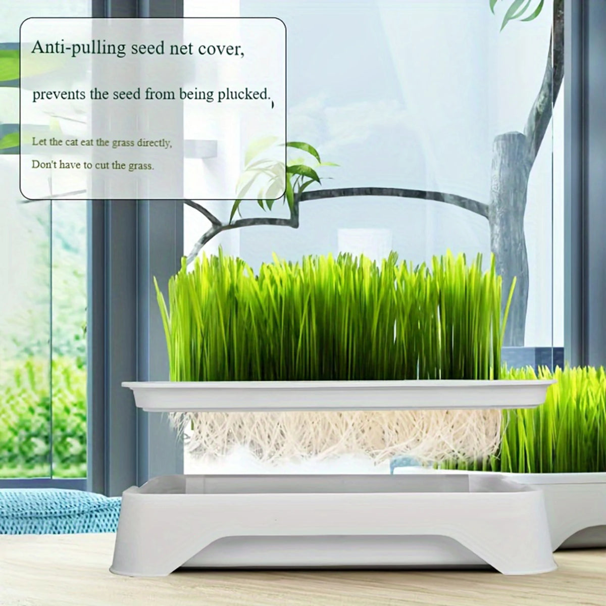 Cat Grass Hydroponic Planter — Soilless Wheatgrass Kit for Indoor Cats