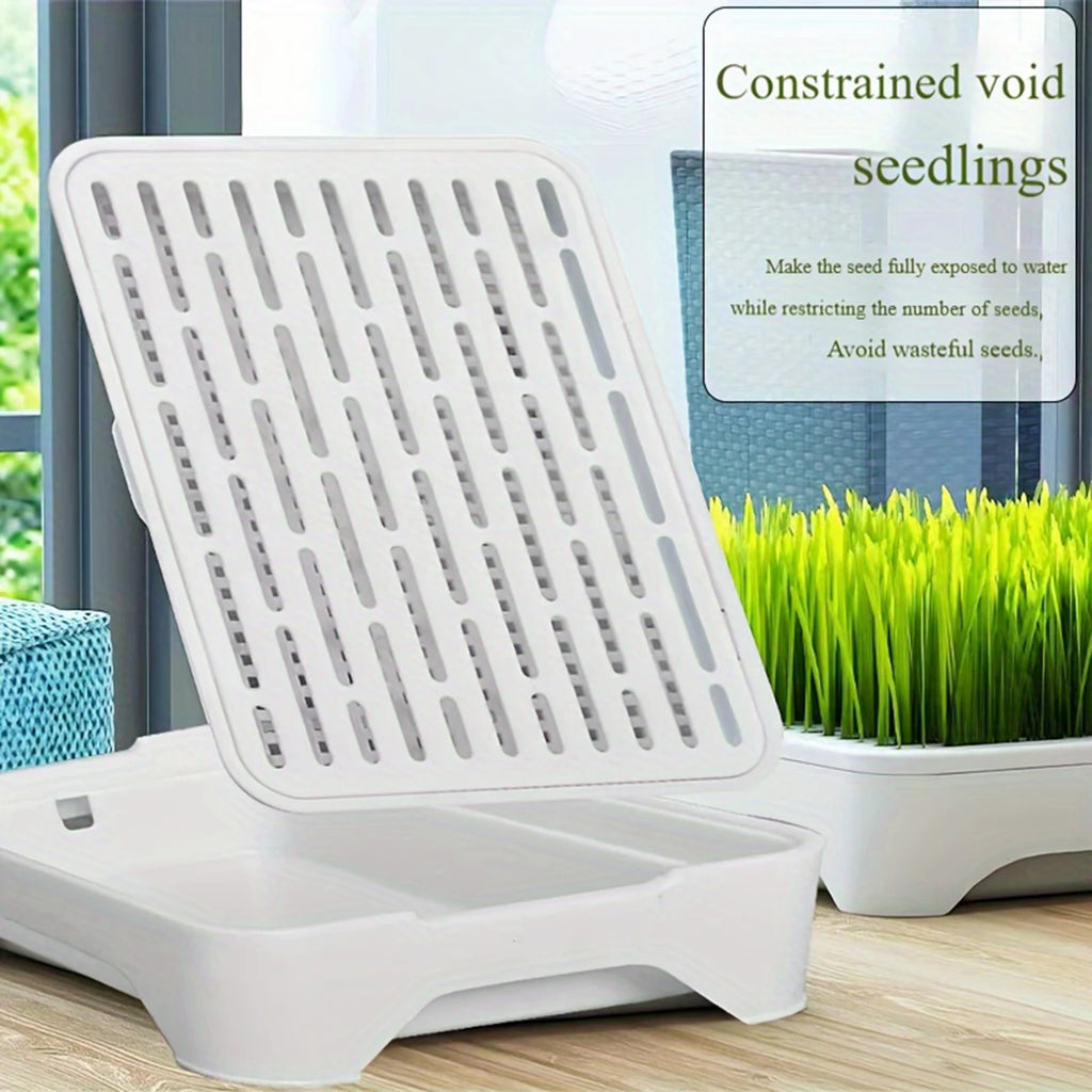 Cat Grass Hydroponic Planter — Soilless Wheatgrass Kit for Indoor Cats