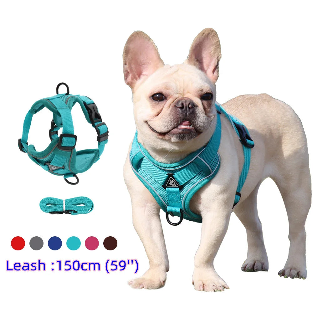 Dog Harness & Leash Set – Vest Style for Small Dogs (S/M/L/XL)