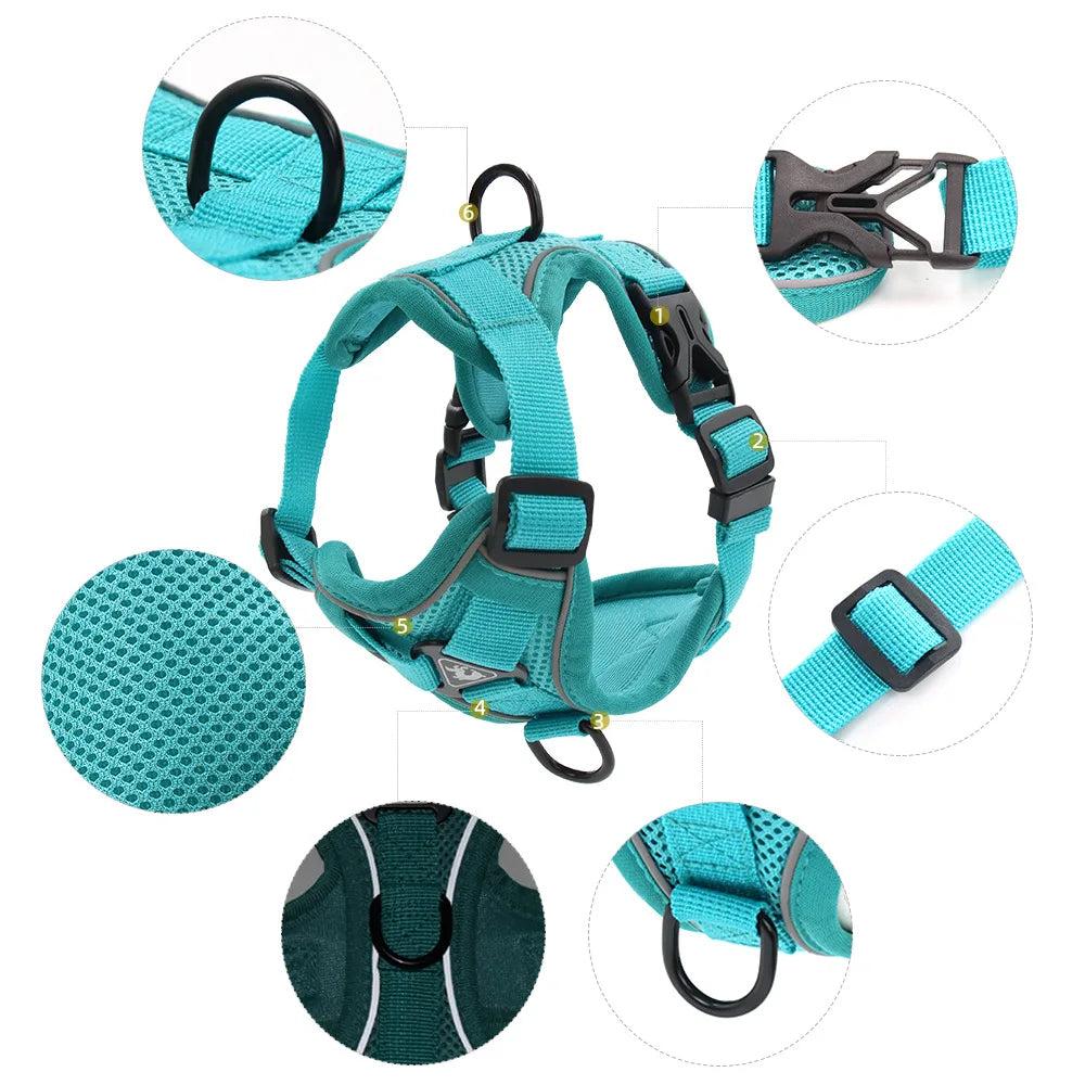 Dog Harness & Leash Set – Vest Style for Small Dogs (S/M/L/XL)