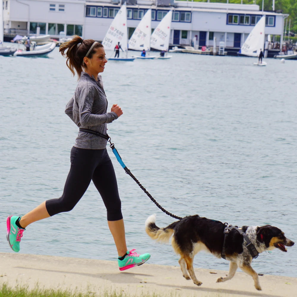 Hands-Free Dog Leash – Adjustable Running & Walking Waist Belt