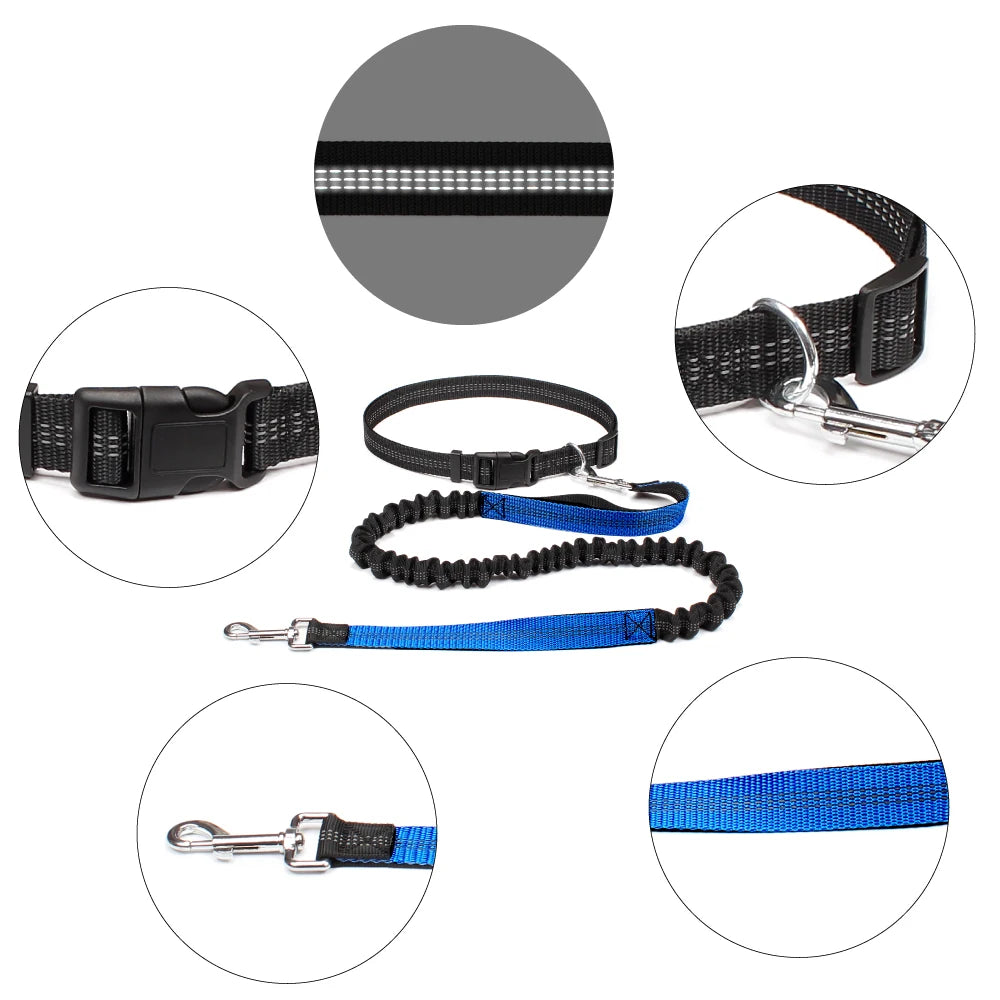 Hands-Free Dog Leash – Adjustable Running & Walking Waist Belt