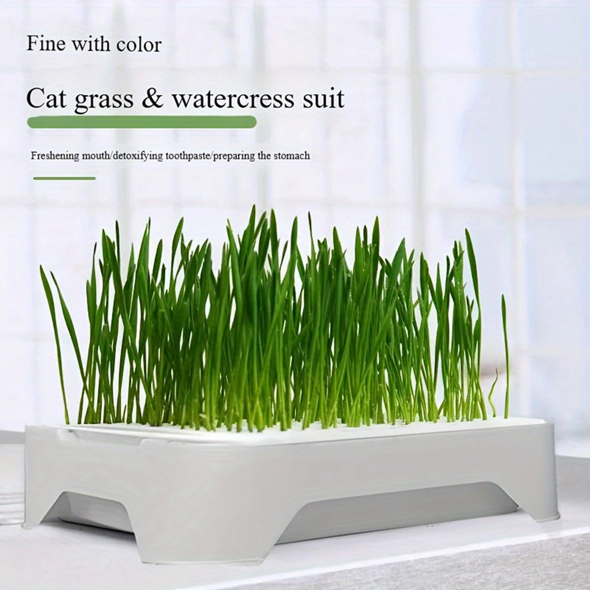 Cat Grass Hydroponic Planter — Soilless Wheatgrass Kit for Indoor Cats