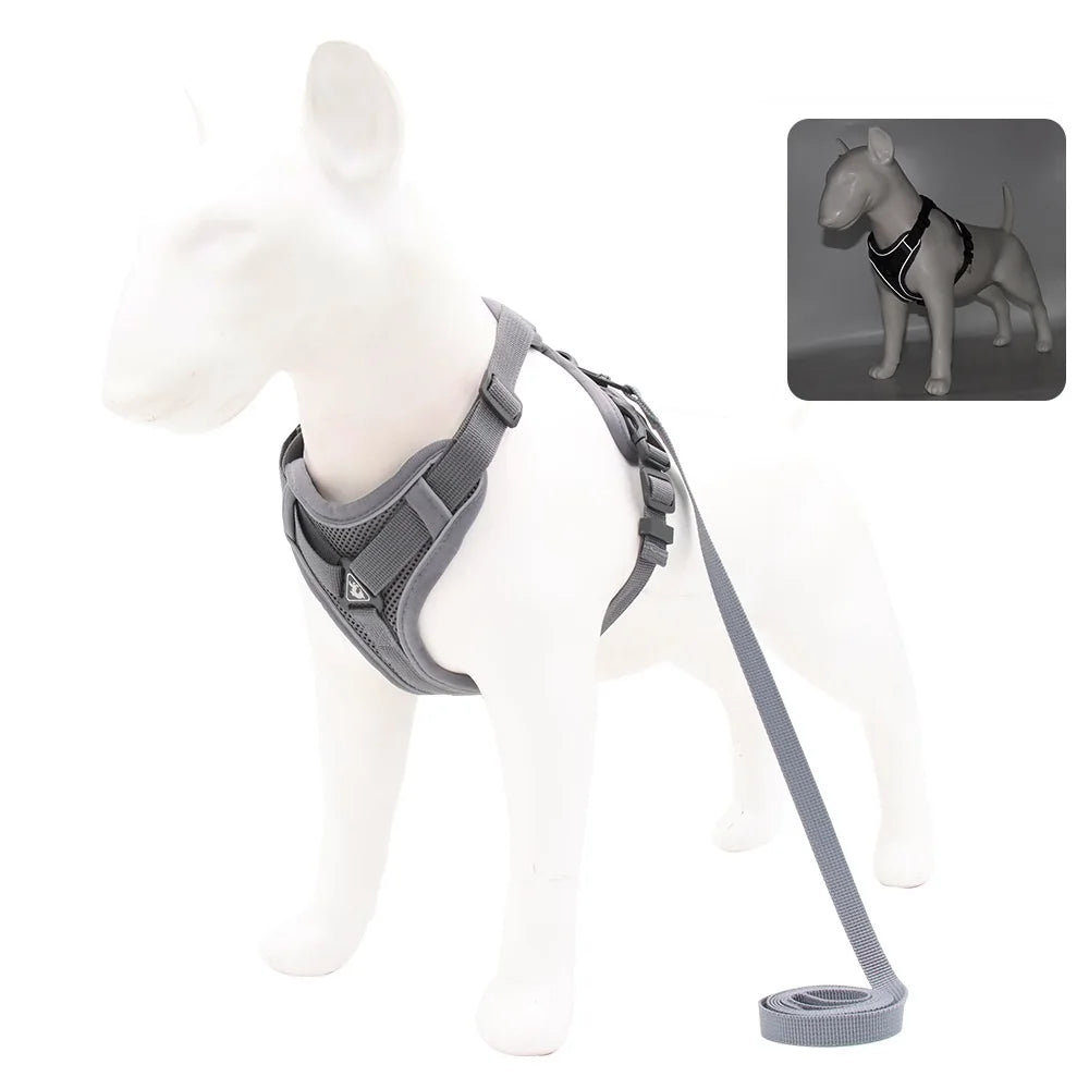 Dog Harness & Leash Set – Vest Style for Small Dogs (S/M/L/XL)