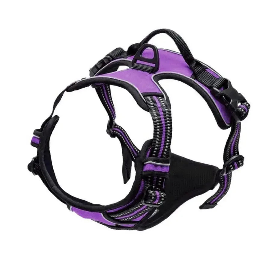 Dog Harness Vest & Leash Set – 8 Colors, All Sizes (S/M/L/XL)