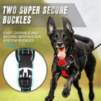 Dog Harness Vest & Leash Set – 8 Colors, All Sizes (S/M/L/XL)