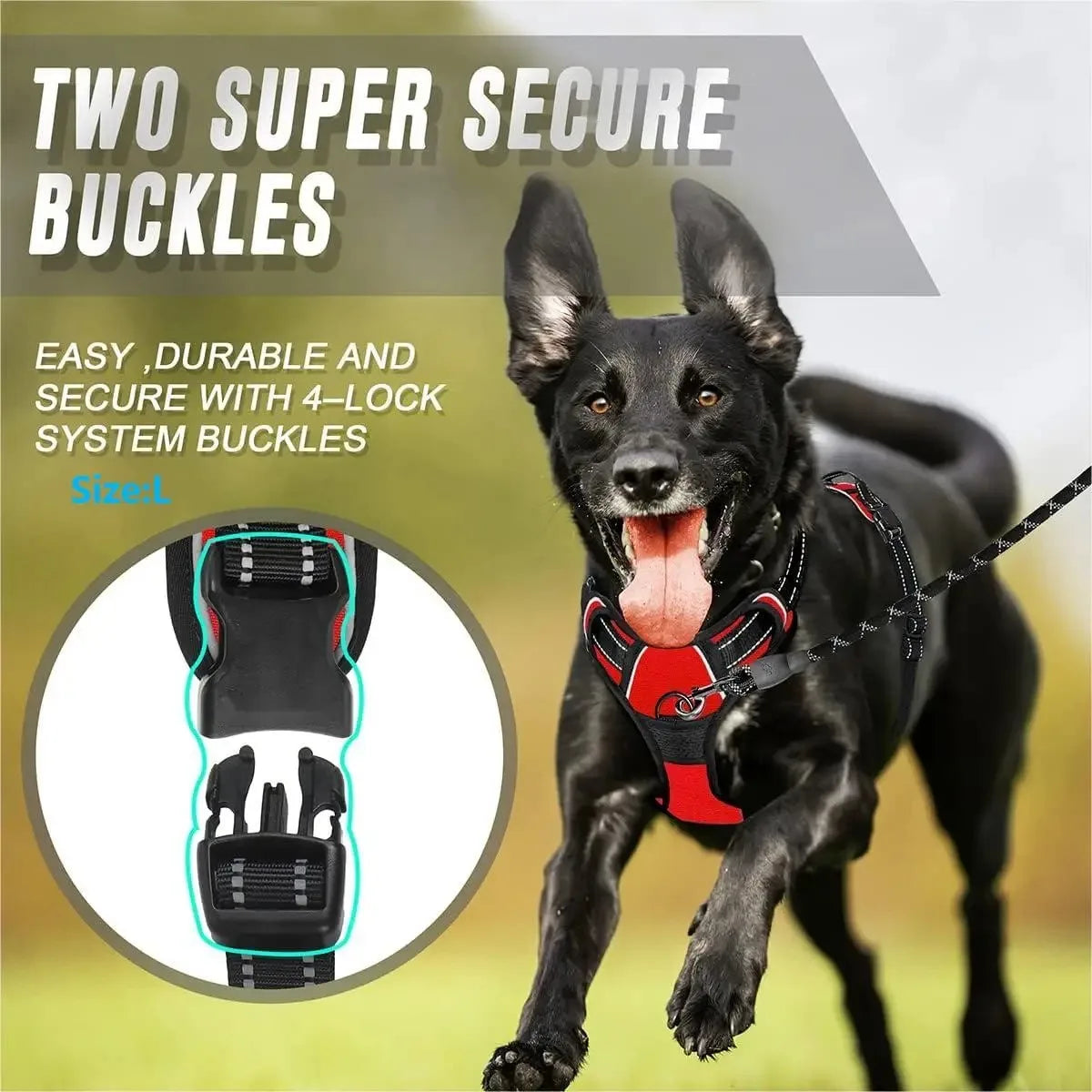 Dog Harness Vest & Leash Set – 8 Colors, All Sizes (S/M/L/XL)