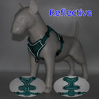 Dog Harness & Leash Set – Vest Style for Small Dogs (S/M/L/XL)