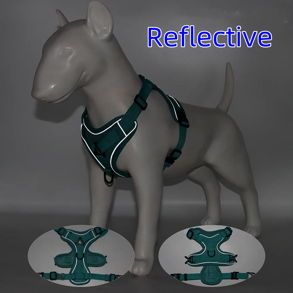 Dog Harness & Leash Set – Vest Style for Small Dogs (S/M/L/XL)