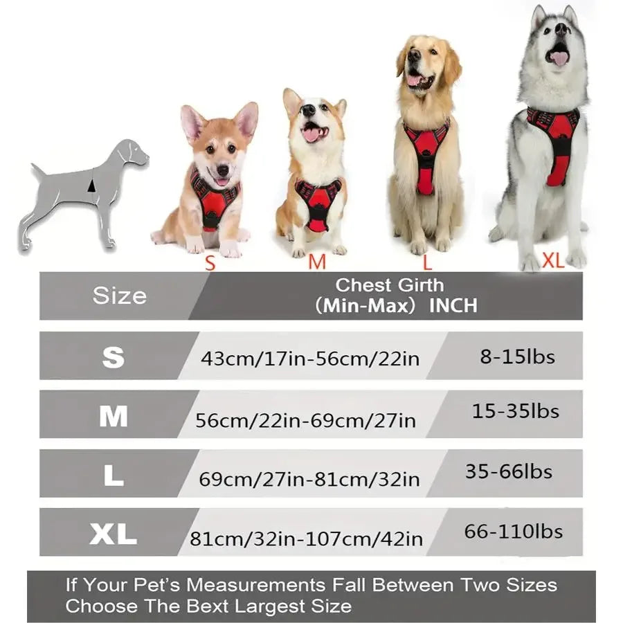 Dog Harness Vest & Leash Set – 8 Colors, All Sizes (S/M/L/XL)
