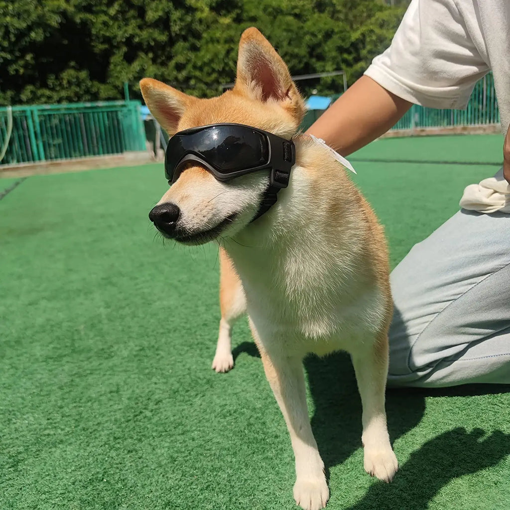 Dog Sunglasses – UV Protection Goggles for Small & Medium Dogs (S/M)