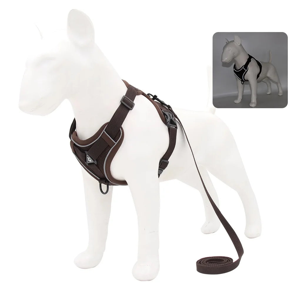 Dog Harness & Leash Set – Vest Style for Small Dogs (S/M/L/XL)