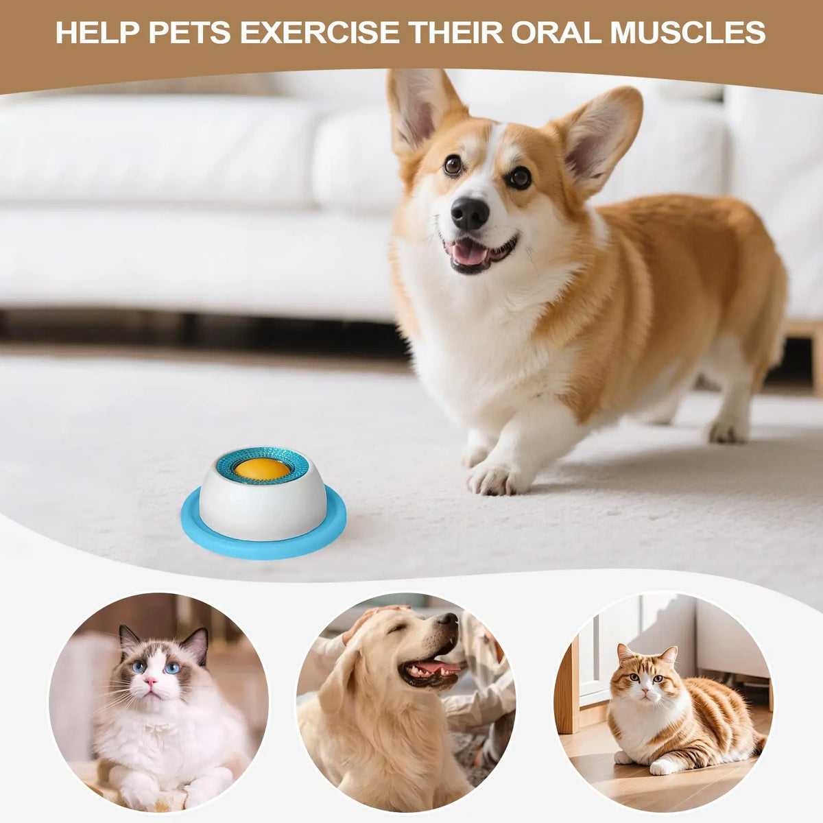Dog Slow Feeder Puzzle Toy – Interactive Licking Bowl for Dogs & Cats
