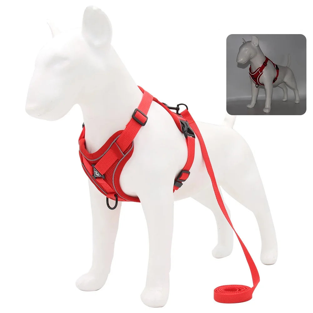 Dog Harness & Leash Set – Vest Style for Small Dogs (S/M/L/XL)