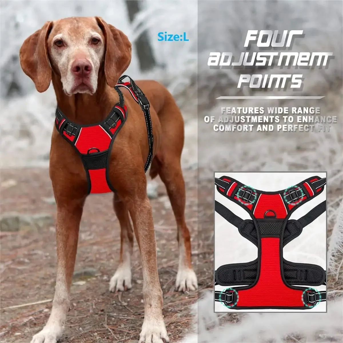 Dog Harness Vest & Leash Set – 8 Colors, All Sizes (S/M/L/XL)