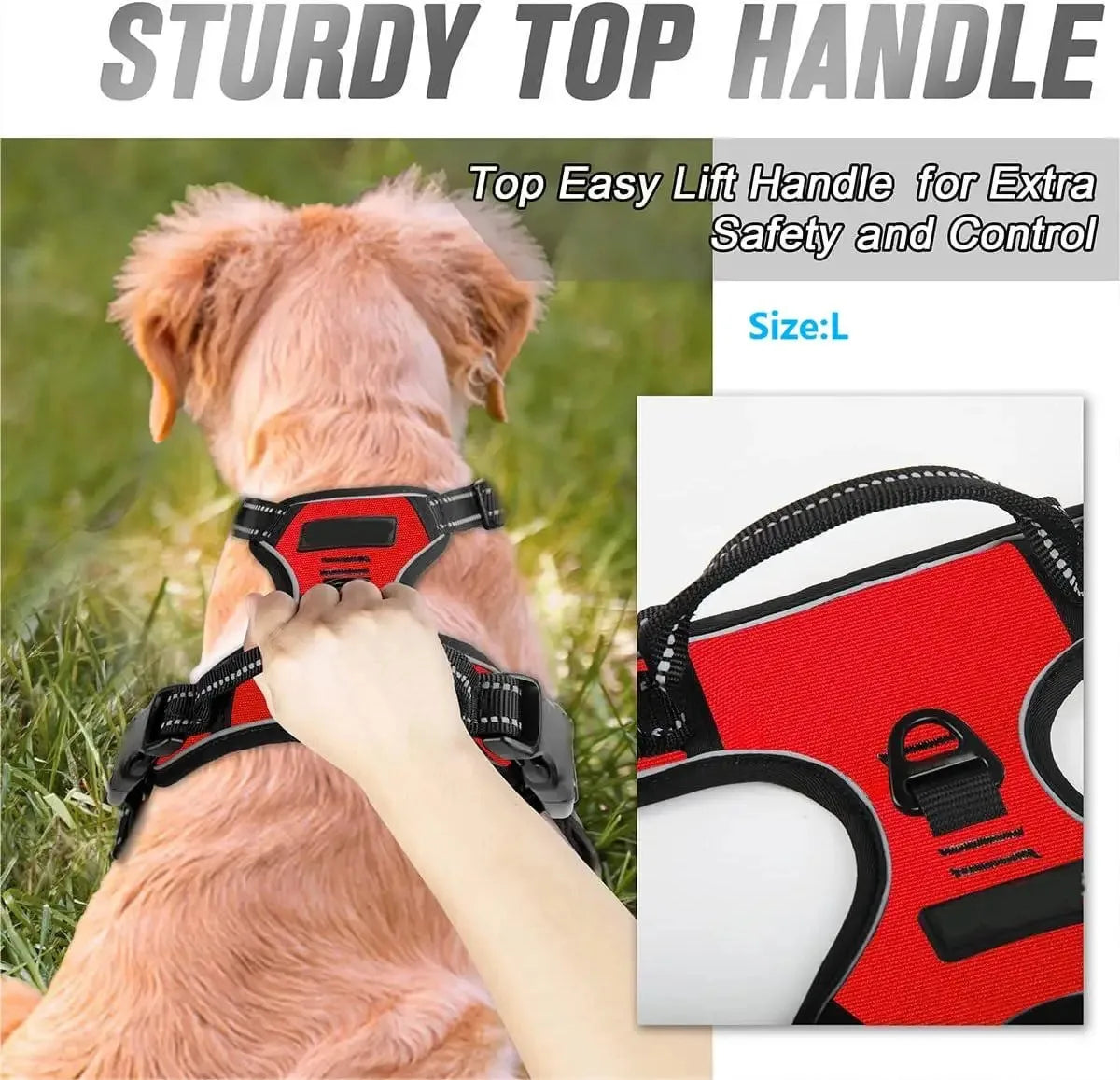Dog Harness Vest & Leash Set – 8 Colors, All Sizes (S/M/L/XL)