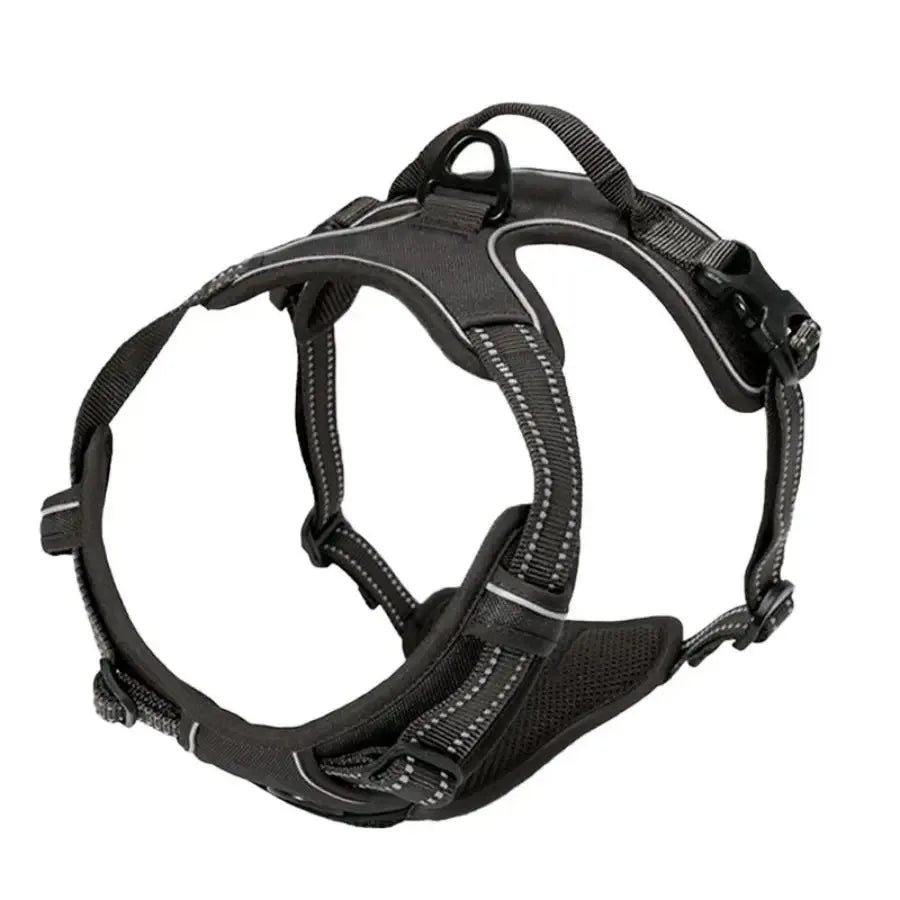 Dog Harness Vest & Leash Set – 8 Colors, All Sizes (S/M/L/XL)