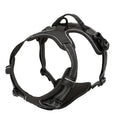 Dog Harness Vest & Leash Set – 8 Colors, All Sizes (S/M/L/XL)
