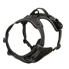 Dog Harness Vest & Leash Set – 8 Colors, All Sizes (S/M/L/XL)