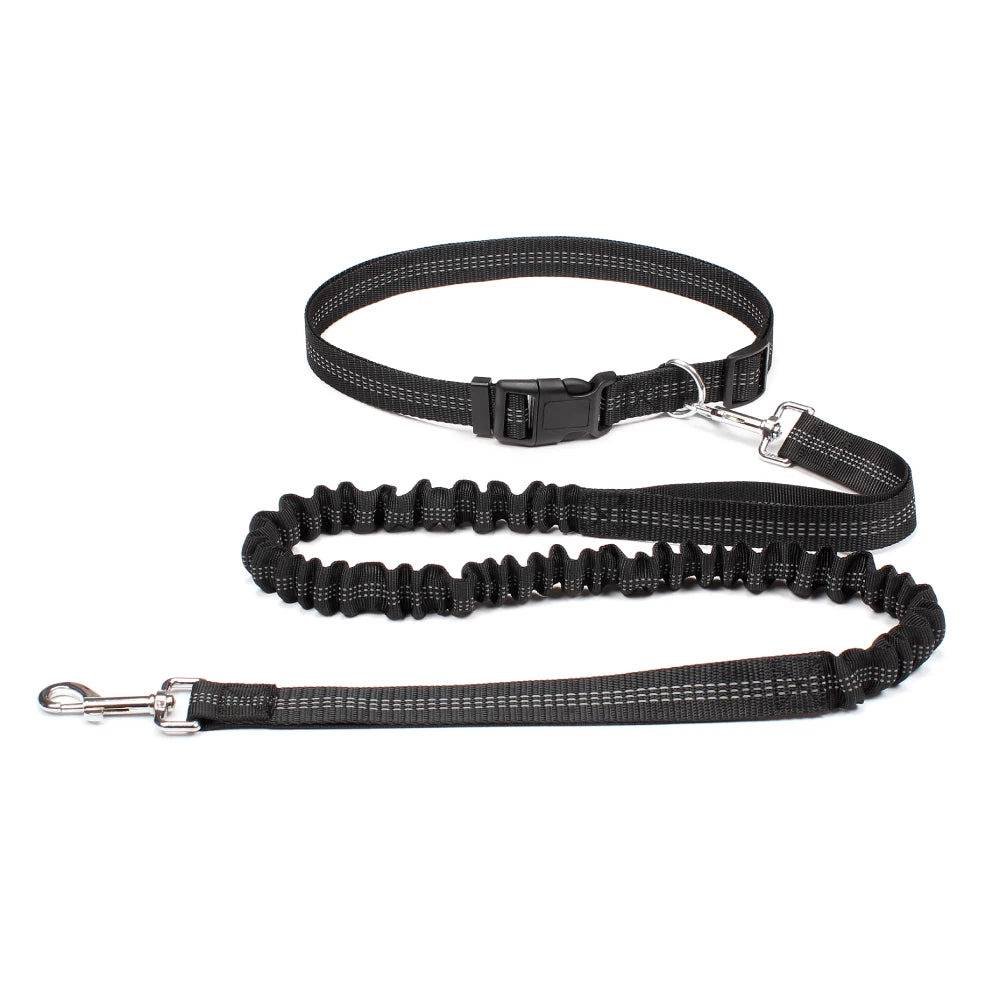 Hands-Free Dog Leash – Adjustable Running & Walking Waist Belt